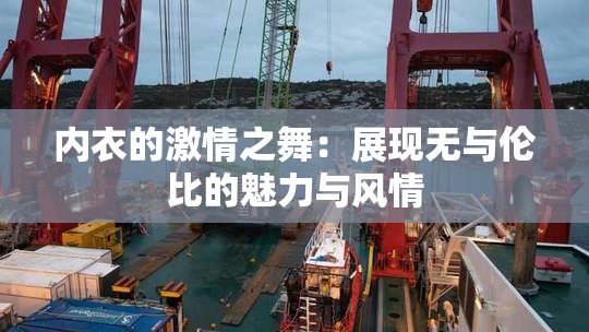 内衣的激情之舞：展现无与伦比的魅力与风情