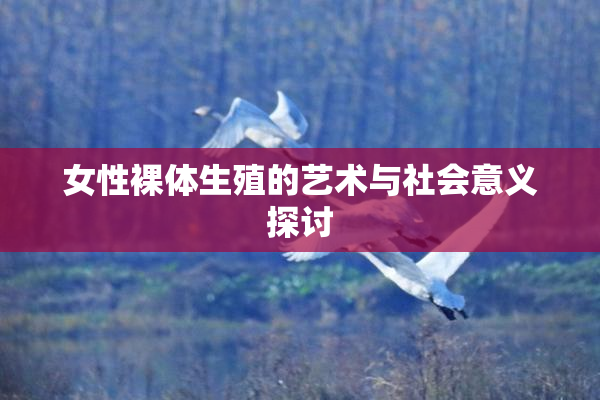 女性裸体生殖的艺术与社会意义探讨