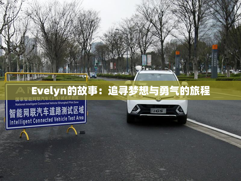 Evelyn的故事：追寻梦想与勇气的旅程