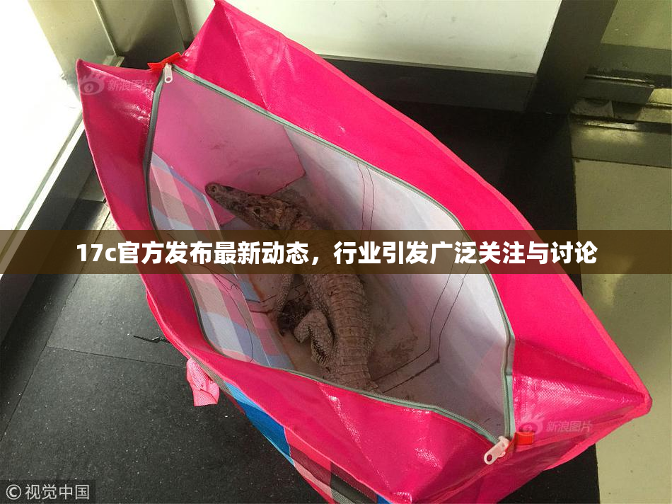 17c官方发布最新动态，行业引发广泛关注与讨论