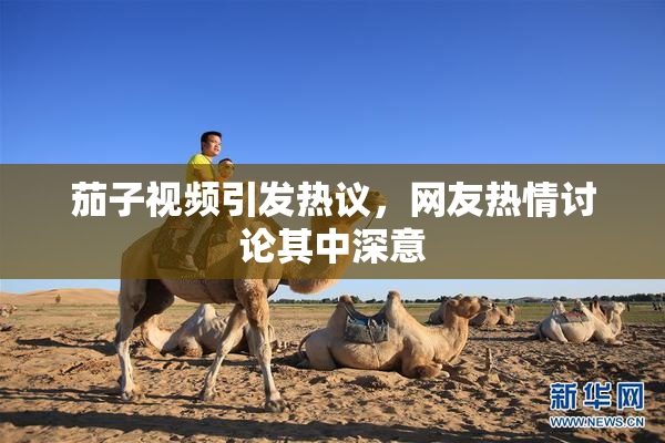 茄子视频引发热议，网友热情讨论其中深意