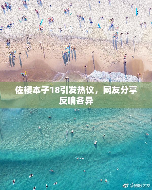 佐樱本子18引发热议，网友分享反响各异