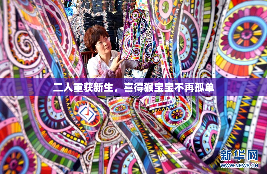二人重获新生，喜得猴宝宝不再孤单