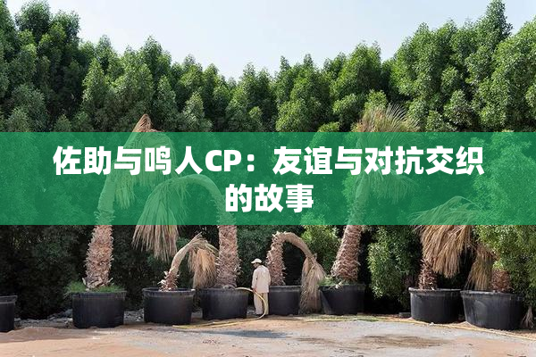 佐助与鸣人CP：友谊与对抗交织的故事