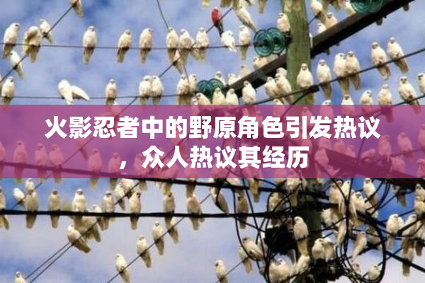 火影忍者中的野原角色引发热议，众人热议其经历