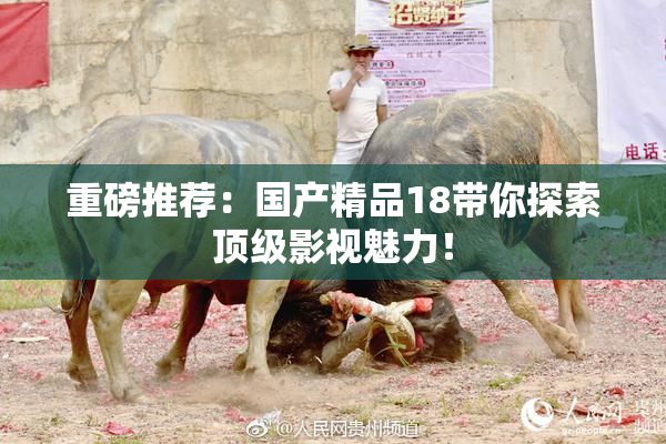 重磅推荐：国产精品18带你探索顶级影视魅力！