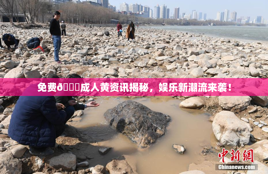 免费🔞成人黄资讯揭秘，娱乐新潮流来袭！