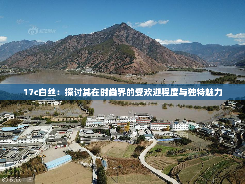 17c白丝：探讨其在时尚界的受欢迎程度与独特魅力