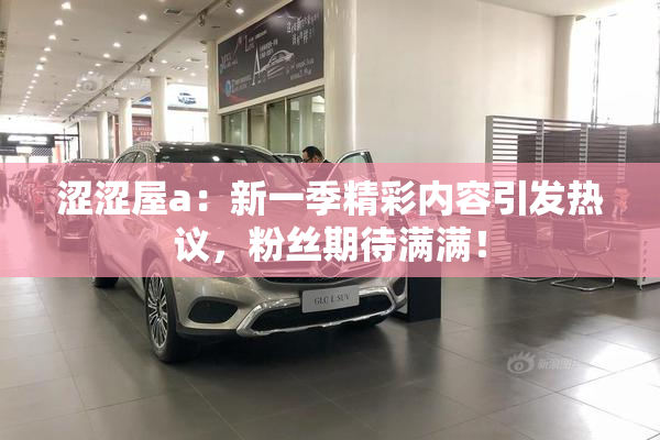 涩涩屋a：新一季精彩内容引发热议，粉丝期待满满！