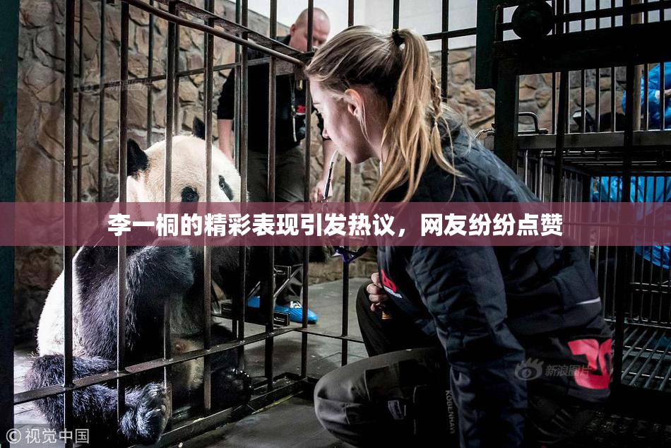 李一桐的精彩表现引发热议，网友纷纷点赞