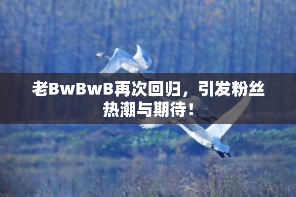 老BwBwB再次回归，引发粉丝热潮与期待！