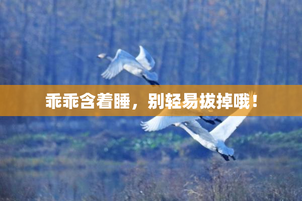 乖乖含着睡，别轻易拔掉哦！
