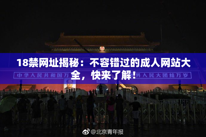 18禁网址揭秘：不容错过的成人网站大全，快来了解！