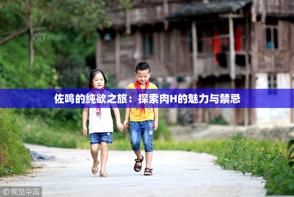 佐鸣的纯欲之旅：探索肉H的魅力与禁忌