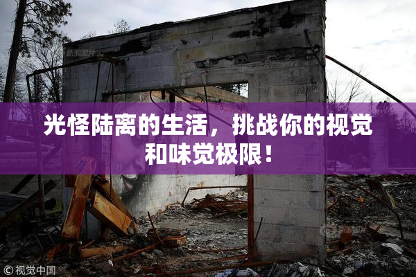 光怪陆离的生活，挑战你的视觉和味觉极限！