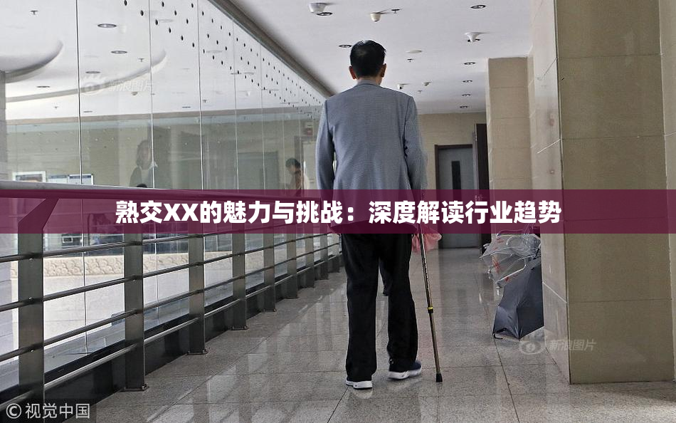 熟交XX的魅力与挑战：深度解读行业趋势