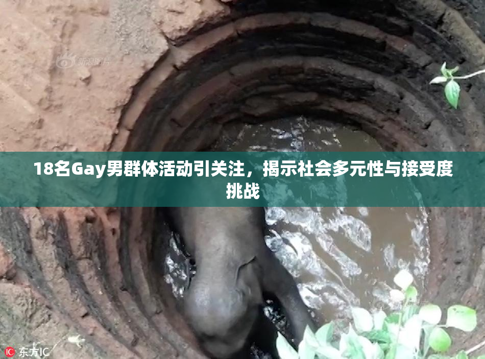 18名Gay男群体活动引关注，揭示社会多元性与接受度挑战
