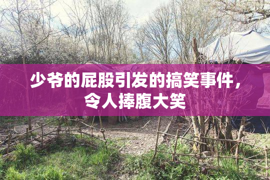 少爷的屁股引发的搞笑事件，令人捧腹大笑