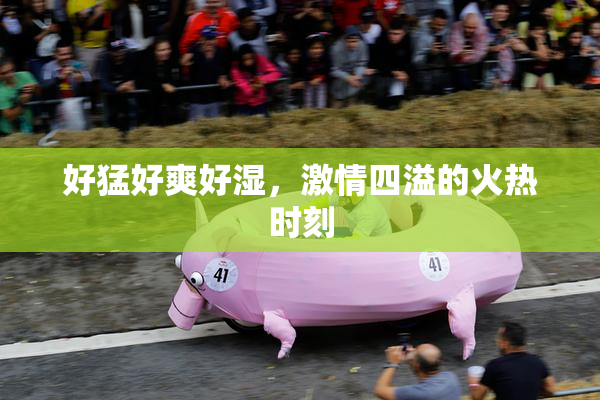 好猛好爽好湿，激情四溢的火热时刻