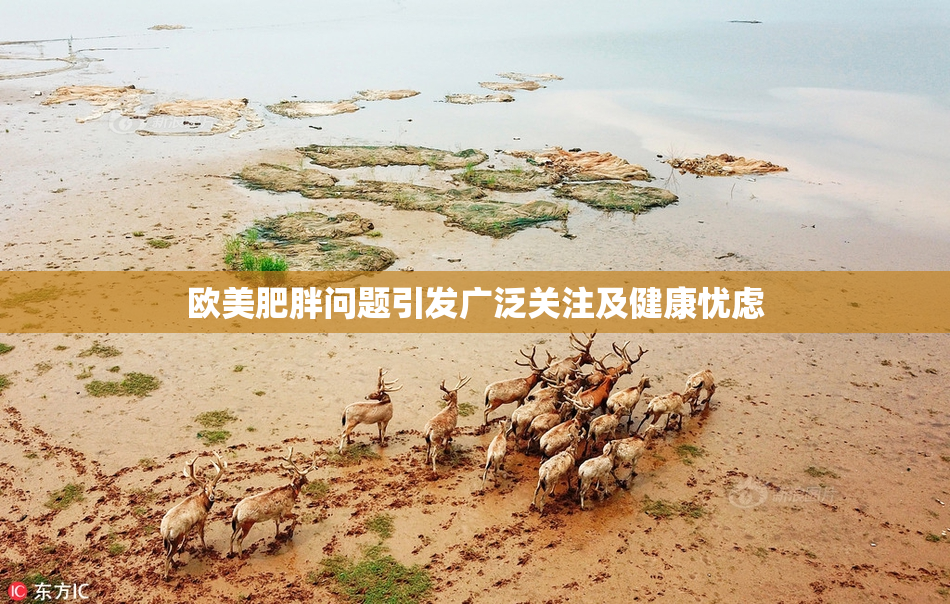 欧美肥胖问题引发广泛关注及健康忧虑
