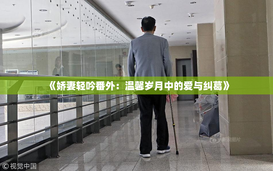 《娇妻轻吟番外：温馨岁月中的爱与纠葛》