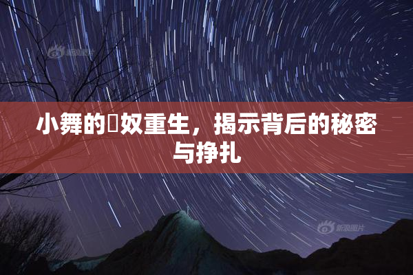 小舞的婬奴重生，揭示背后的秘密与挣扎