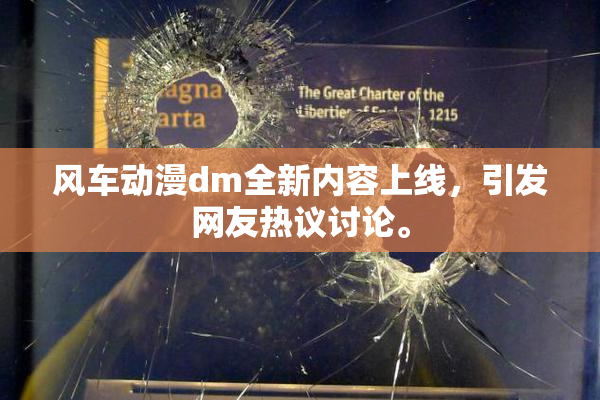 风车动漫dm全新内容上线，引发网友热议讨论。