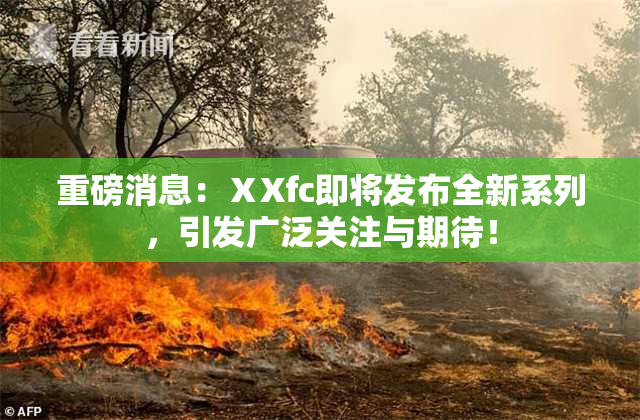 重磅消息：ⅩXfc即将发布全新系列，引发广泛关注与期待！