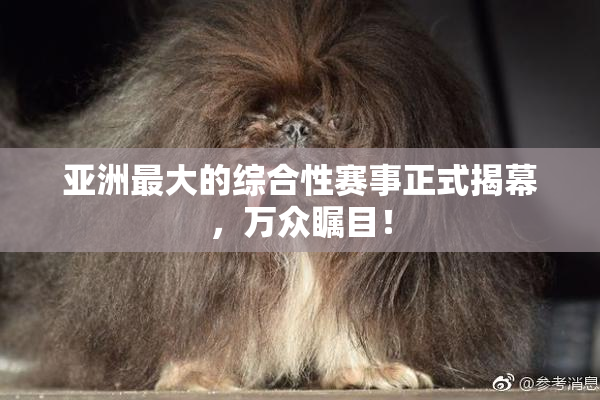 亚洲最大的综合性赛事正式揭幕，万众瞩目！