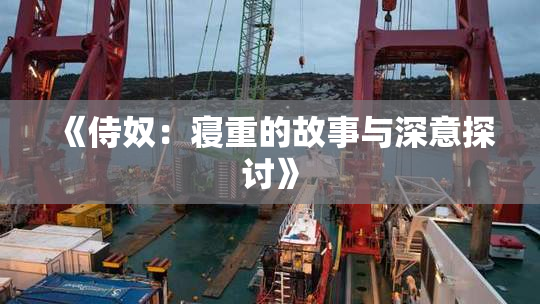 《侍奴：寝重的故事与深意探讨》