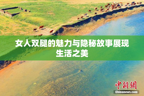 女人双腿的魅力与隐秘故事展现生活之美