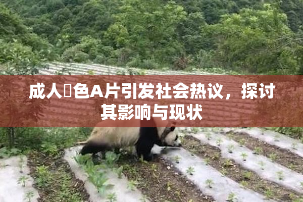 成人黃色A片引发社会热议，探讨其影响与现状