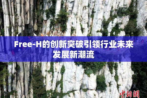 Free-H的创新突破引领行业未来发展新潮流