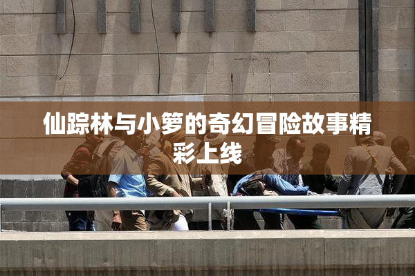 仙踪林与小箩的奇幻冒险故事精彩上线