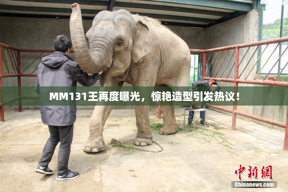 MM131王再度曝光，惊艳造型引发热议！