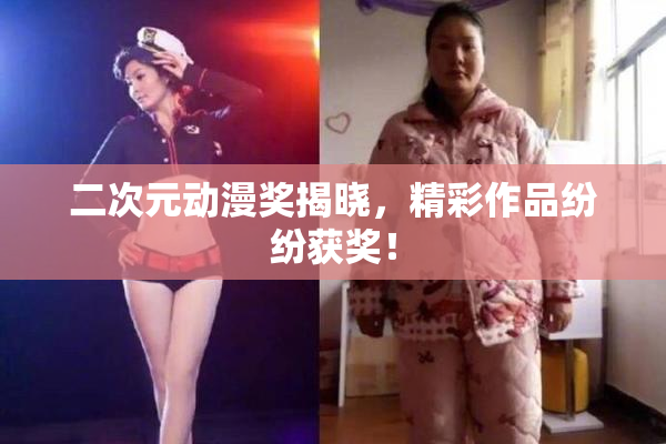 二次元动漫奖揭晓，精彩作品纷纷获奖！