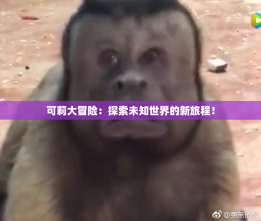 可莉大冒险：探索未知世界的新旅程！