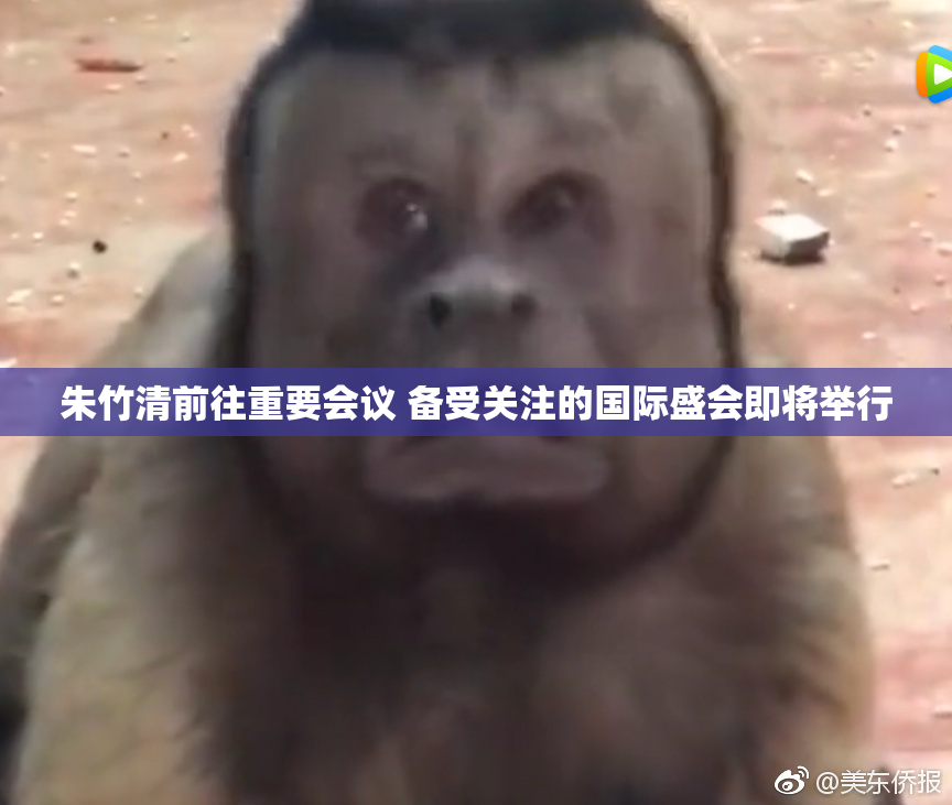 朱竹清前往重要会议 备受关注的国际盛会即将举行