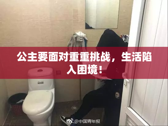 公主要面对重重挑战，生活陷入困境！