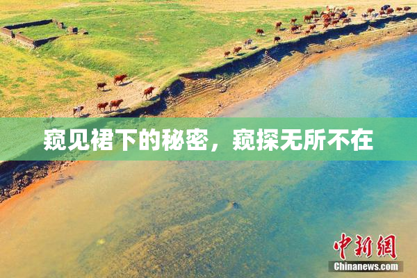 窥见裙下的秘密，窥探无所不在