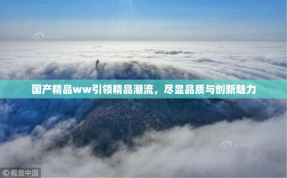 国产精品ww引领精品潮流，尽显品质与创新魅力