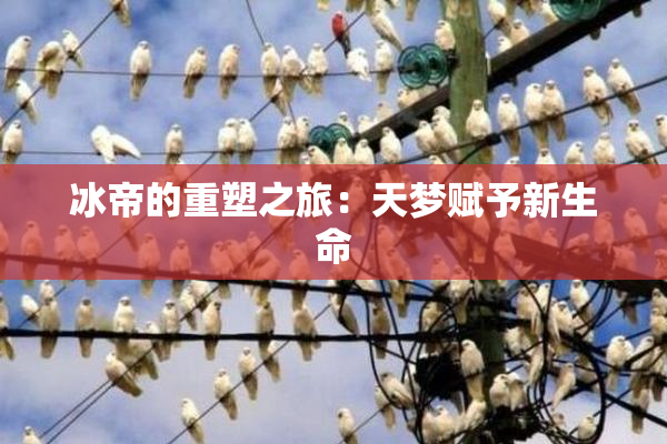 冰帝的重塑之旅：天梦赋予新生命
