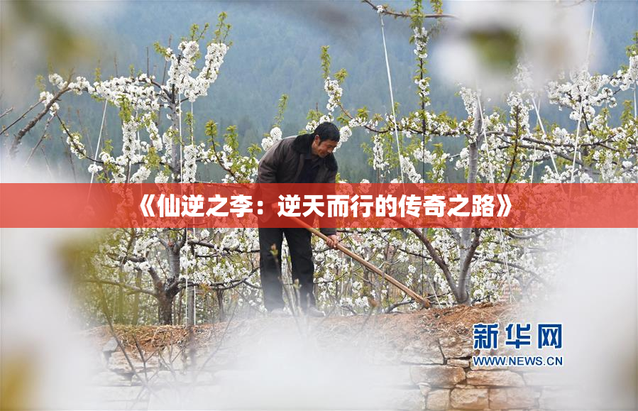 《仙逆之李：逆天而行的传奇之路》