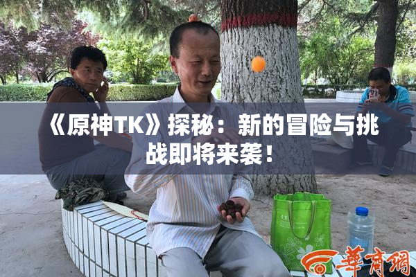 《原神TK》探秘：新的冒险与挑战即将来袭！