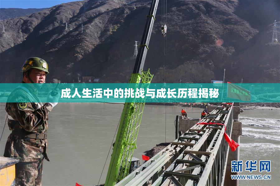 成人生活中的挑战与成长历程揭秘