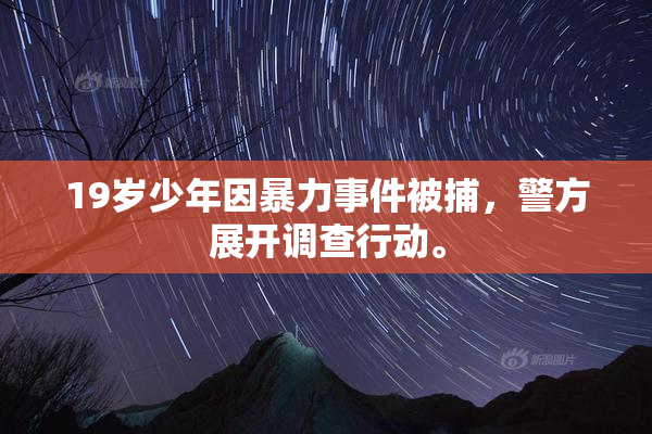 19岁少年因暴力事件被捕，警方展开调查行动。