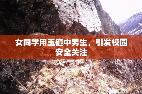 女同学用玉砸中男生，引发校园安全关注