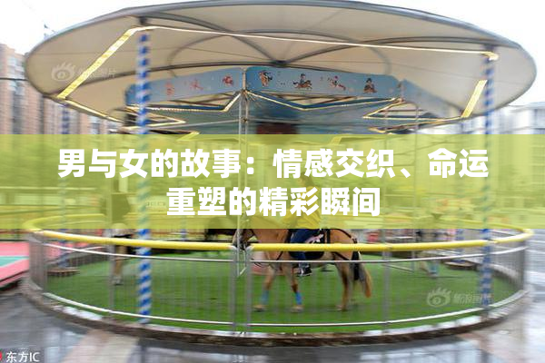 男与女的故事：情感交织、命运重塑的精彩瞬间
