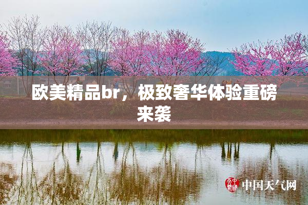 欧美精品br，极致奢华体验重磅来袭