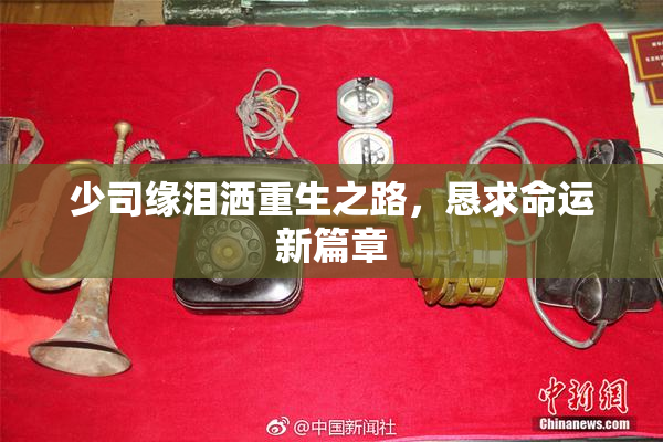 少司缘泪洒重生之路，恳求命运新篇章
